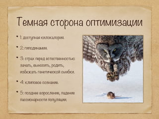 Темная сторона оптимизации
1: доступная килокалория.
2: гиподинамия.
3: страх перед естественностью:
зачать, выносить, родить,
избежать генетической ошибки.
4: клиповое сознание.
5: позднее взросление, падение
пассионарности популяции.
 