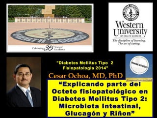 “Diabetes Mellitus Tipo 2 
Fisiopatologia 2014” 
Cesar Ochoa, MD, PhD 
“Explicando par te del 
Octeto fisiopatológico en 
Diabetes Mellitus Tipo 2: 
Microbiota Intestinal, 
Glucagón y Riñon” 
 