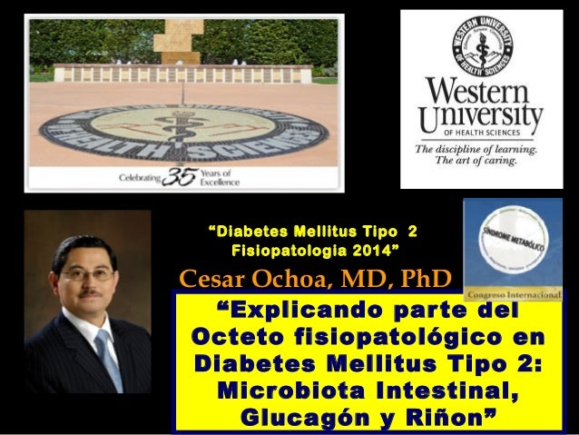 Explicando parte del Octeto fisiopatológico en Diabetes Explicando parte del Octeto fisiopatológico en Diabetes