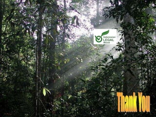 10. indonesia country update