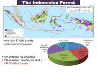 The Indonesian Forest 
Area 
more than 17,000 islands 
as of December 2012 designation 
 181.2 million ha land area 
 134.4 million ha of forest land ( 
>74 % of land area) 
Conservation 
Forests 
20% 
Protected 
Forests 
22% 
Production 
Forests 
25% 
Limited 
Production 
Forests 
19% 
Convertible 
Production 
Forests 
14% 
 