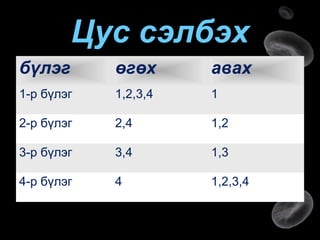 цусны эргэлт хүн 10 | PPT