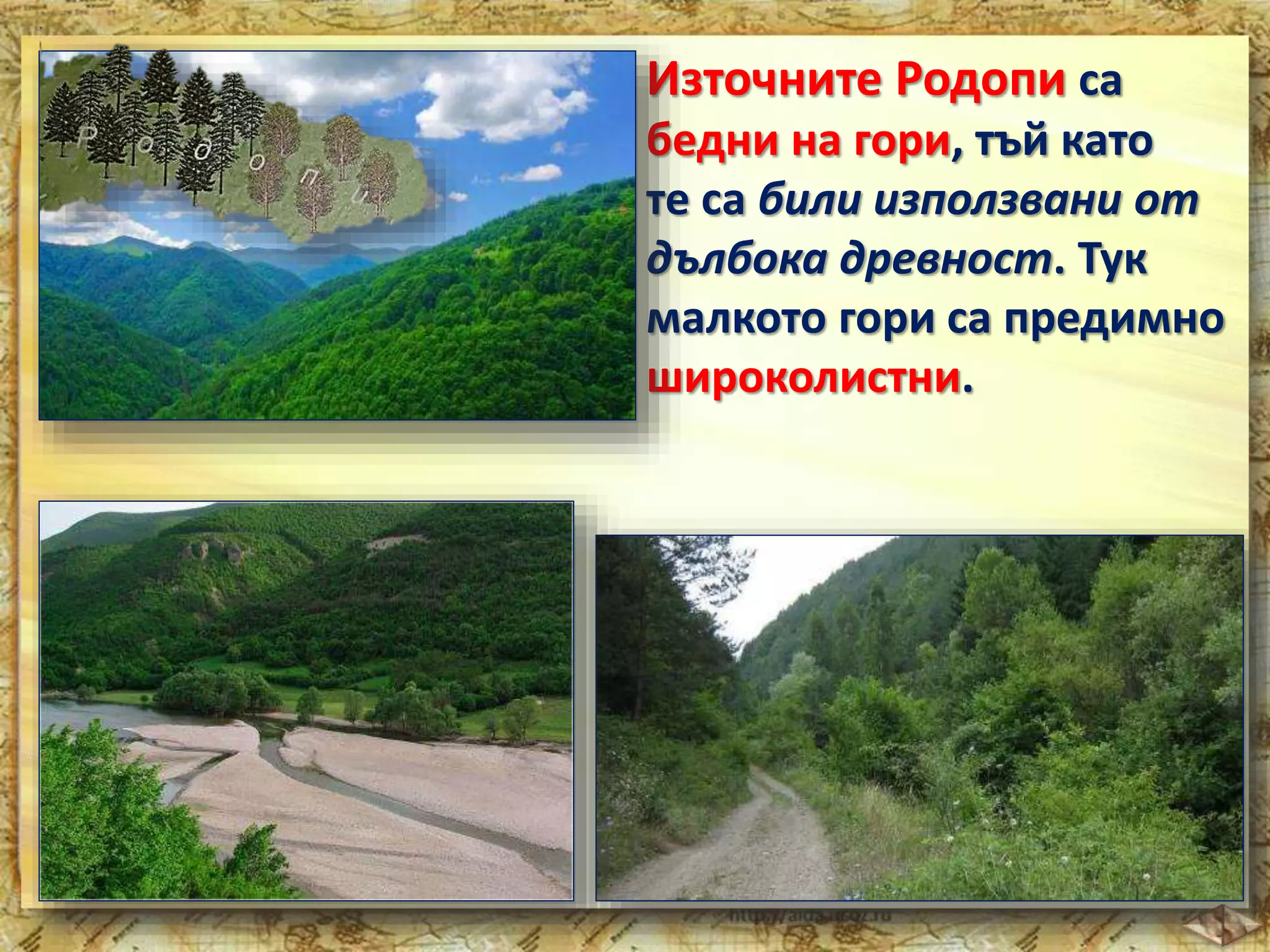 Източните Родопи са 
бедни на гори, тъй като 
те са били използвани от 
дълбока древност. Тук 
малкото гори са предимно 
широколистни. 
 