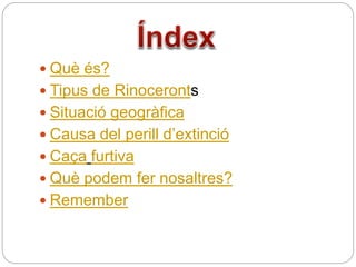  Què és?
 Tipus de Rinoceronts
 Situació geogràfica
 Causa del perill d’extinció
 Caça furtiva
 Què podem fer nosaltres?
 Remember
 