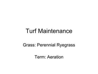 Turf Maintenance Grass: Perennial Ryegrass Term: Aeration 