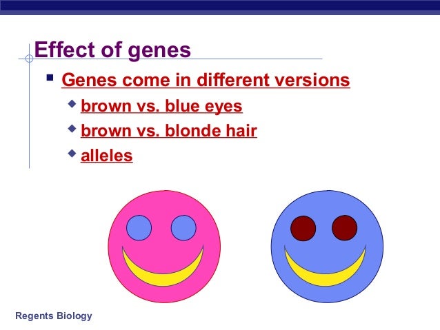 10 2 Classical Genetics Ppt