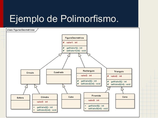 Image result for ejemplo de poliformismo /