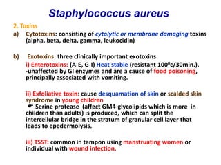 2. Toxins
a) Cytotoxins: consisting of cytolytic or membrane damaging toxins
(alpha, beta, delta, gamma, leukocidin)
b) Exotoxins: three clinically important exotoxins
i) Enterotoxins: (A-E, G-I) Heat stable (resistant 1000c/30min.),
-unaffected by GI enzymes and are a cause of food poisoning,
principally associated with vomiting.
ii) Exfoliative toxin: cause desquamation of skin or scalded skin
syndrome in young children
 Serine protease (affect GM4-glycolipids which is more in
children than adults) is produced, which can split the
intercellular bridge in the stratum of granular cell layer that
leads to epedermolysis.
iii) TSST: common in tampon using manstruating women or
individual with wound infection.
Staphylococcus aureus
 