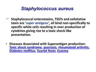 Staphylococcal enterotoxins, TSSTs and exfoliative
toxin are ‘super antigens’, all bind non-specifically to
specific white cells resulting in over production of
cytokines giving rise to a toxic shock-like
presentation.
• Diseases Associated with Superantigen production:
Toxic shock syndrome, psoriasis, rheumatoid arthritis,
Diabetes mellitus, Scarlet fever, Eczema
Staphylococcus aureus
 