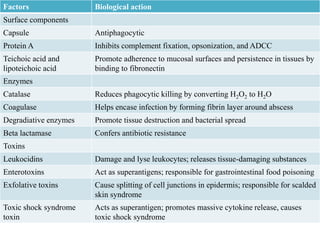 Factors Biological action
Surface components
Capsule Antiphagocytic
Protein A Inhibits complement fixation, opsonization, and ADCC
Teichoic acid and
lipoteichoic acid
Promote adherence to mucosal surfaces and persistence in tissues by
binding to fibronectin
Enzymes
Catalase Reduces phagocytic killing by converting H2O2 to H2O
Coagulase Helps encase infection by forming fibrin layer around abscess
Degradiative enzymes Promote tissue destruction and bacterial spread
Beta lactamase Confers antibiotic resistance
Toxins
Leukocidins Damage and lyse leukocytes; releases tissue-damaging substances
Enterotoxins Act as superantigens; responsible for gastrointestinal food poisoning
Exfolative toxins Cause splitting of cell junctions in epidermis; responsible for scalded
skin syndrome
Toxic shock syndrome
toxin
Acts as superantigen; promotes massive cytokine release, causes
toxic shock syndrome
 