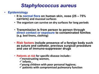 • Epidemiology
• It is normal flora on human skin, nose (25 – 75%
carriers) and mucosal surfaces
• The organism can survive on dry surfaces for long periods
• Transmission is from person to person through
direct contact or exposure to contaminated fomites
(e.g. bed linens, clothing)
• Risk factors include presence of a foreign body such
as suture and catheter, previous surgical procedure
and use of immuno-suppresser drugs
• Patients at risk for specific disease include:-
menstruating women,
 infants ,
young children with poor personal hygiene;
 patients with compromised pulmonary function
Staphylococcus aureus
 