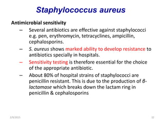 Antimicrobial sensitivity
– Several antibiotics are effective against staphylococci
e.g. pen, erythromycin, tetracyclines, ampicillin,
cephalosporins.
– S. aureus shows marked ability to develop resistance to
antibiotics specially in hospitals.
– Sensitivity testing is therefore essential for the choice
of the appropriate antibiotic.
– About 80% of hospital strains of staphylococci are
penicillin resistant. This is due to the production of β-
lactamase which breaks down the lactam ring in
penicillin & cephalosporins
2/9/2015 32
Staphylococcus aureus
 