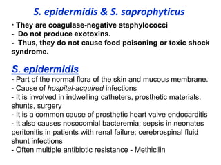 • They are coagulase-negative staphylococci
- Do not produce exotoxins.
- Thus, they do not cause food poisoning or toxic shock
syndrome.
S. epidermidis
- Part of the normal flora of the skin and mucous membrane.
- Cause of hospital-acquired infections
- It is involved in indwelling catheters, prosthetic materials,
shunts, surgery
- It is a common cause of prosthetic heart valve endocarditis
- It also causes nosocomial bacteremia; sepsis in neonates
peritonitis in patients with renal failure; cerebrospinal fluid
shunt infections
- Often multiple antibiotic resistance - Methicllin
S. epidermidis & S. saprophyticus
 