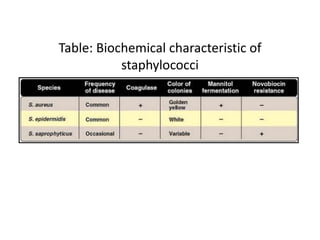 Table: Biochemical characteristic of
staphylococci
 