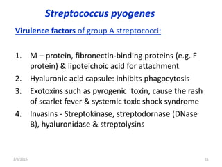Streptococcus pyogenes
Virulence factors of group A streptococci:
1. M – protein, fibronectin-binding proteins (e.g. F
protein) & lipoteichoic acid for attachment
2. Hyaluronic acid capsule: inhibits phagocytosis
3. Exotoxins such as pyrogenic toxin, cause the rash
of scarlet fever & systemic toxic shock syndrome
4. Invasins - Streptokinase, streptodornase (DNase
B), hyaluronidase & streptolysins
2/9/2015 51
 