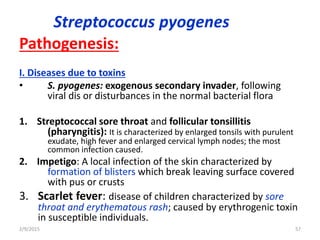 Streptococcus pyogenes
Pathogenesis:
I. Diseases due to toxins
• S. pyogenes: exogenous secondary invader, following
viral dis or disturbances in the normal bacterial flora
1. Streptococcal sore throat and follicular tonsillitis
(pharyngitis): It is characterized by enlarged tonsils with purulent
exudate, high fever and enlarged cervical lymph nodes; the most
common infection caused.
2. Impetigo: A local infection of the skin characterized by
formation of blisters which break leaving surface covered
with pus or crusts
3. Scarlet fever: disease of children characterized by sore
throat and erythematous rash; caused by erythrogenic toxin
in susceptible individuals.
2/9/2015 57
 