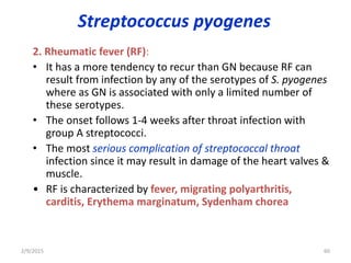 Streptococcus pyogenes
2. Rheumatic fever (RF):
• It has a more tendency to recur than GN because RF can
result from infection by any of the serotypes of S. pyogenes
where as GN is associated with only a limited number of
these serotypes.
• The onset follows 1-4 weeks after throat infection with
group A streptococci.
• The most serious complication of streptococcal throat
infection since it may result in damage of the heart valves &
muscle.
• RF is characterized by fever, migrating polyarthritis,
carditis, Erythema marginatum, Sydenham chorea
2/9/2015 60
 