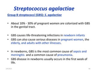 Streptococcus agalactiae
Group B streptococci (GBS): S. agalactiae
• About 10% - 30% of pregnant women are colonized with GBS
in the genital tract.
• GBS causes life-threatening infections in newborn infants
• GBS can also cause serious diseases in pregnant women, the
elderly, and adults with other illnesses.
• In newborns, GBS is the most common cause of sepsis and
meningitis and a common cause of pneumonia.
• GBS disease in newborns usually occurs in the first week of
life.
2/9/2015 68
 
