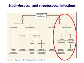 Staphylococcal and streptococcal infections
 