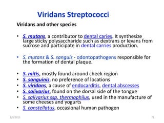 Viridans Streptococci
Viridans and other species
• S. mutans, a contributor to dental caries. It synthesize
large sticky polysaccharide such as dextrans or levans from
sucrose and participate in dental carries production.
• S. mutans & S. sanguis - odontopathogens responsible for
the formation of dental plaque.
• S. mitis, mostly found around cheek region
• S. sanguinis, no preference of locations
• S. viridans, a cause of endocarditis, dental abscesses
• S. salivarius, found on the dorsal side of the tongue
• S. salivarius ssp. thermophilus, used in the manufacture of
some cheeses and yogurts
• S. constellatus, occasional human pathogen
2/9/2015 73
 