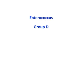 Enterococcus
Group D
 