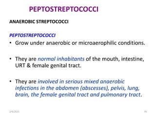 PEPTOSTREPTOCOCCI
ANAEROBIC STREPTOCOCCI
PEPTOSTREPTOCOCCI
• Grow under anaerobic or microaerophilic conditions.
• They are normal inhabitants of the mouth, intestine,
URT & female genital tract.
• They are involved in serious mixed anaerobic
infections in the abdomen (abscesses), pelvis, lung,
brain, the female genital tract and pulmonary tract.
2/9/2015 79
 
