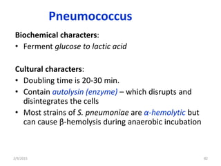 Pneumococcus
Biochemical characters:
• Ferment glucose to lactic acid
Cultural characters:
• Doubling time is 20-30 min.
• Contain autolysin (enzyme) – which disrupts and
disintegrates the cells
• Most strains of S. pneumoniae are α-hemolytic but
can cause β-hemolysis during anaerobic incubation
2/9/2015 82
 