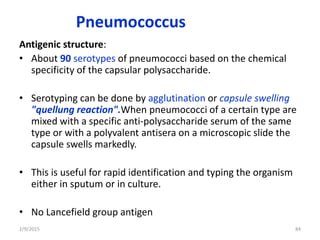 Pneumococcus
Antigenic structure:
• About 90 serotypes of pneumococci based on the chemical
specificity of the capsular polysaccharide.
• Serotyping can be done by agglutination or capsule swelling
"quellung reaction".When pneumococci of a certain type are
mixed with a specific anti-polysaccharide serum of the same
type or with a polyvalent antisera on a microscopic slide the
capsule swells markedly.
• This is useful for rapid identification and typing the organism
either in sputum or in culture.
• No Lancefield group antigen
2/9/2015 84
 