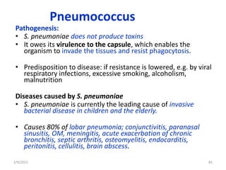 Pneumococcus
Pathogenesis:
• S. pneumoniae does not produce toxins
• It owes its virulence to the capsule, which enables the
organism to invade the tissues and resist phagocytosis.
• Predisposition to disease: if resistance is lowered, e.g. by viral
respiratory infections, excessive smoking, alcoholism,
malnutrition
Diseases caused by S. pneumoniae
• S. pneumoniae is currently the leading cause of invasive
bacterial disease in children and the elderly.
• Causes 80% of lobar pneumonia; conjunctivitis, paranasal
sinusitis, OM, meningitis, acute exacerbation of chronic
bronchitis, septic arthritis, osteomyelitis, endocarditis,
peritonitis, cellulitis, brain abscess.
2/9/2015 85
 