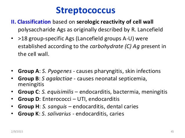 Streptococcus Classification Chart