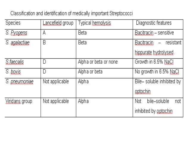 Streptococcus Identification Chart