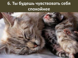 6. Ты будешь чувствовать себя
спокойнее
 