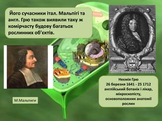 Його сучасники італ. Мальпігі та
англ. Грю також виявили таку ж
комірчасту будову багатьох
рослинних об’єктів.
Неємія Грю
26 березня 1641 - 25 1712
англійський ботанік і лікар,
мікроскопісту,
основоположник анатомії
рослин
М.Мальпиги
 