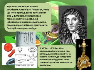 Удосконалив мікроскоп гол.
дослідник Антоні ван Левенгук, тому
що його прилад давав збільшення
вже у 270 разів. Він розглядав
тваринні клітини, особливо
інфузорії, які назвав анімалькулі, а
також вперше побачив еритроцити,
бактерії та сперматозоїди.
У ХVІІ ст.. - ХVІІІ ст..було
накопичено багато знань про
клітину, але питання про те, чи
входять клітини до складу всіх
рослин і чи побудовані з них
тваринні організми залишалось
відкритим.
 