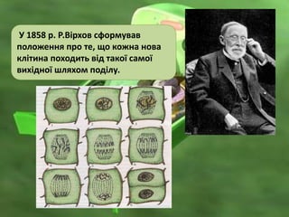 У 1858 р. Р.Вірхов сформував
положення про те, що кожна нова
клітина походить від такої самої
вихідної шляхом поділу.
 