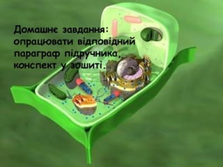 Домашнє завдання:
опрацювати відповідний
параграф підручника,
конспект у зошиті.
 