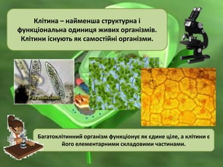 Клітина – найменша структурна і
функціональна одиниця живих організмів.
Клітини існують як самостійні організми.
Багатоклітинний організм функціонує як єдине ціле, а клітини є
його елементарними складовими частинами.
 