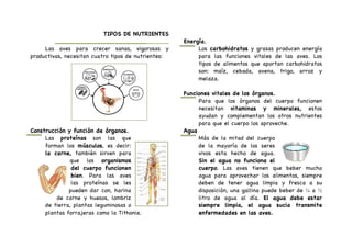 TIPOS DE NUTRIENTES
_____________________________
Las aves para crecer sanas, vigorosas y
productivas, necesitan cuatro tipos de nutrientes:
Construcción y función de órganos.
Las proteínas son las que
forman los músculos, es decir:
la carne, también sirven para
que los organismos
del cuerpo funcionen
bien. Para las aves
las proteínas se les
pueden dar con, harina
de carne y huesos, lombriz
de tierra, plantas leguminosas o
plantas forrajeras como la Tithonia.
Energía.
Los carbohidratos y grasas producen energía
para las funciones vitales de las aves. Los
tipos de alimentos que aportan carbohidratos
son: maíz, cebada, avena, trigo, arroz y
melaza.
Funciones vitales de los órganos.
Para que los órganos del cuerpo funcionen
necesitan vitaminas y minerales, estos
ayudan y complementan los otros nutrientes
para que el cuerpo los aproveche.
Agua
Más de la mitad del cuerpo
de la mayoría de los seres
vivos esta hecho de agua.
Sin el agua no funciona el
cuerpo. Las aves tienen que beber mucho
agua para aprovechar los alimentos, siempre
deben de tener agua limpia y fresca a su
disposición, una gallina puede beber de ¼ a ½
litro de agua al día. El agua debe estar
siempre limpia, el agua sucia transmite
enfermedades en las aves.
 