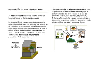 PREPARACIÓN DEL CONCENTRADO CASERO
____________________________
Al mezclar y combinar entre si estos alimentos
hacemos lo que se llaman concentrados.
La preparación de concentrados caseros permite
aprovechar productos o ingredientes que existen en
la comunidad. Utilizando una pequeña fabrica con
espacios para almacenar los ingredientes y para el
molino. Con la elaboración de concentrados se
tiene la oportunidad de ofrecer a las aves una
alimentación balanceada mejorando la
producción de huevo y carne.
	
  
	
  
	
  
	
  
	
  
Con la instalación de fábricas comunitarias para
la producción de concentrados caseros para la
alimentación de las aves basada en el uso de
productos locales, esto es: maíz, Stysolobium,
Tithonia, etc., mediante trabajo comunitario para
desarrollar un proceso productivo que genere mejor
alimentación a las aves y ahorro de dinero.
Molino
Almacén
de
ingredientes
 
