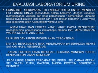 EVALUASI LABORATORIUM URINEEVALUASI LABORATORIUM URINE
 URINALISIS MERUPAKAN UJI LABORATORIUM UNTUK MENGETAURINALISIS MERUPAKAN UJI LABORATORIUM UNTUK MENGETA
HUI FUNGSI GINJAL (penundaan antara berkemih, dengan urinalisis,HUI FUNGSI GINJAL (penundaan antara berkemih, dengan urinalisis,
mempengaruhi validitas dari hasil pemeriksaan / pemeriksaan urinalisismempengaruhi validitas dari hasil pemeriksaan / pemeriksaan urinalisis
hendaknya dilakukan tidak lebih dari 4 jam setelah berkemih / unsur yanghendaknya dilakukan tidak lebih dari 4 jam setelah berkemih / unsur yang
ada pada urine akan rusak dalam waktu 2 jam)ada pada urine akan rusak dalam waktu 2 jam)
ASAM URAT DAN FOSFAT YANG LARUT DAPAT MENGENDAPASAM URAT DAN FOSFAT YANG LARUT DAPAT MENGENDAP
(mengaburkan pemeriksaan mikroskopis elemen lain) MENYEBABKAN(mengaburkan pemeriksaan mikroskopis elemen lain) MENYEBABKAN
WARNA KERUH PADA URINEWARNA KERUH PADA URINE
BILIRUBIN DAN UROBILINOGEN AKAN TEROKSIDASIBILIRUBIN DAN UROBILINOGEN AKAN TEROKSIDASI
BAKTERI BERKEMBANG BIAK, MENURUNKAN pH SEHINGGA MENYEBAKTERI BERKEMBANG BIAK, MENURUNKAN pH SEHINGGA MENYE
SATKAN HASIL PEMERIKSAANSATKAN HASIL PEMERIKSAAN
KADAR PROTEIN TIDAK BERUBAH, GLUKOSA MUNGKIN TURUN,KADAR PROTEIN TIDAK BERUBAH, GLUKOSA MUNGKIN TURUN,
BENDA KETON AKAN MENGUAPBENDA KETON AKAN MENGUAP
PADA URINE SERING TERDAPAT SEL EPITEL, SEL DARAH MERAH,
SEL DARAH PUTIH, BAKTERI, MASSA PROTEIN BERBENTUK
SILINDER
 