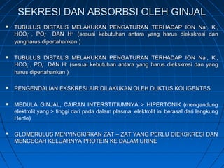 SEKRESI DAN ABSORBSI OLEH GINJALSEKRESI DAN ABSORBSI OLEH GINJAL
 TUBULUS DISTALIS MELAKUKAN PENGATURAN TERHADAP ION NaTUBULUS DISTALIS MELAKUKAN PENGATURAN TERHADAP ION Na++
, K, K++
,,
HCOHCO33
––
, PO, PO44
––
DAN HDAN H++
(sesuai kebutuhan antara yang harus diekskresi dan(sesuai kebutuhan antara yang harus diekskresi dan
yangharus dipertahankan )yangharus dipertahankan )
 TUBULUS DISTALIS MELAKUKAN PENGATURAN TERHADAP ION NaTUBULUS DISTALIS MELAKUKAN PENGATURAN TERHADAP ION Na++
, K, K++
,,
HCOHCO33
––
, PO, PO44
––
DAN HDAN H++
(sesuai kebutuhan antara yang harus diekskresi dan yang(sesuai kebutuhan antara yang harus diekskresi dan yang
harus dipertahankan )harus dipertahankan )
 PENGENDALIAN EKSKRESI AIR DILAKUKAN OLEH DUKTUS KOLIGENTESPENGENDALIAN EKSKRESI AIR DILAKUKAN OLEH DUKTUS KOLIGENTES
 MEDULA GINJAL, CAIRAN INTERSTITIUMNYA > HIPERTONIK (mengandung
elektrolit yang > tinggi dari pada dalam plasma, elektrolit ini berasal dari lengkung
Henle)
 GLOMERULUS MENYINGKIRKAN ZAT – ZAT YANG PERLU DIEKSKRESI DANGLOMERULUS MENYINGKIRKAN ZAT – ZAT YANG PERLU DIEKSKRESI DAN
MENCEGAH KELUARNYA PROTEIN KE DALAM URINEMENCEGAH KELUARNYA PROTEIN KE DALAM URINE
 