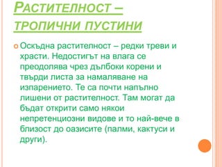 РАСТИТЕЛНОСТ –
ТРОПИЧНИ ПУСТИНИ
 Оскъдна растителност – редки треви и
храсти. Недостигът на влага се
преодолява чрез дълбоки корени и
твърди листа за намаляване на
изпарението. Те са почти напълно
лишени от растителност. Там могат да
бъдат открити само някои
непретенциозни видове и то най-вече в
близост до оазисите (палми, кактуси и
други).
 