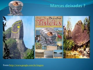 Fonte:http://www.google.com.br/imgres
 