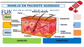 MANEJO EN PACIENTE QUEMADO
PROTECCIÓN CONTRA LAS INFECCIONES
CONSERVACIÓN DE FLUIDOS
CORPORALES
REGULARIZACIÓN DE LA TEMPERATURA
PRODUCCIÓN DE VITAMINA D
SECRECIÓN
EXCRECIÓN
APARIENCIA
SENSIBILIDAD
 