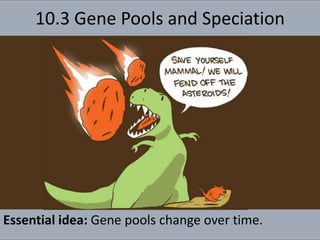 10.3 Gene Pools and Speciation
Essential idea: Gene pools change over time.
 