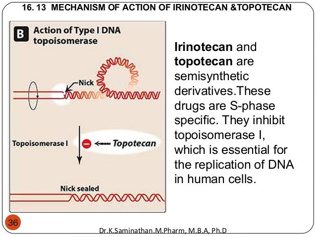 10.ANTICANCER DRUGS 10.ANTICANCER DRUGS