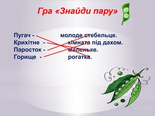 Гра «Знайди пару»
Пугач - молоде стебельце.
Крихітне - кімната під дахом.
Паросток - маленьке.
Горище - рогатка.
 