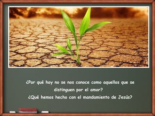 ¿Por qué hoy no se nos conoce como aquellos que se
distinguen por el amor?
¿Qué hemos hecho con el mandamiento de Jesús?
 