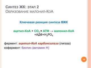 СИНТЕЗ ЖК: ЭТАП 2
ОБРАЗОВАНИЕ МАЛОНИЛ-КОА
Ключевая реакция синтеза ВЖК
ацетил-КоА + СО2 + АТФ → малонил-КоА
+АДФ+Н3РО4
фермент: ацетил-КоА карбоксилаза (лигаза)
кофермент: биотин (витамин Н)
18
 
