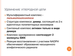 УДЛИНЕНИЕ УГЛЕРОДНОЙ ЦЕПИ
 Мультиферментный комплекс -
пальмитоилсинтаза
 Структура комплекса: димер, состоящий из 2-х
идентичных полипептидных мономеров
 Синтазный комплекс активен только в виде
димера
 Комплекс одновременно синтезирует 2
молекулы ВЖК
 Реакции восстановления с участием NADPН
обеспечивают образование насыщенного
алифатического радикала
20
 
